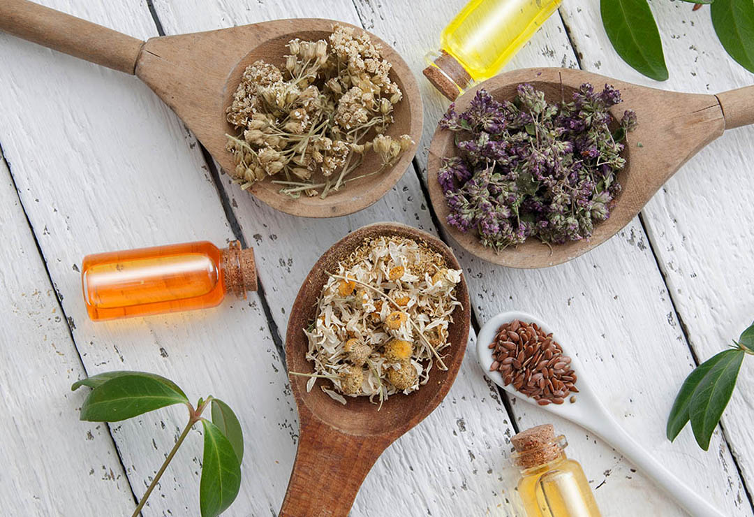 phytotherapie-pharmacie-devallez